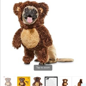 Dog costume size medium